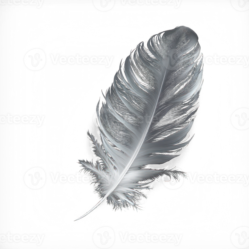 A single, pristine white feather is depicted against a clear and transparent backdrop, appearing as though it is suspended in mid-air. png