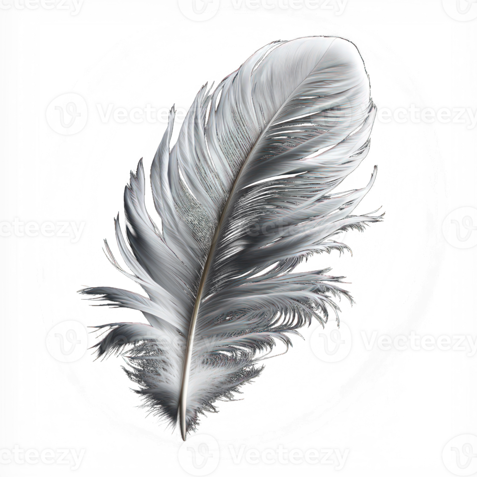 A solitary white feather, perfectly depicted down to its smallest details, hovering weightlessly against a pure and transparent backdrop. png