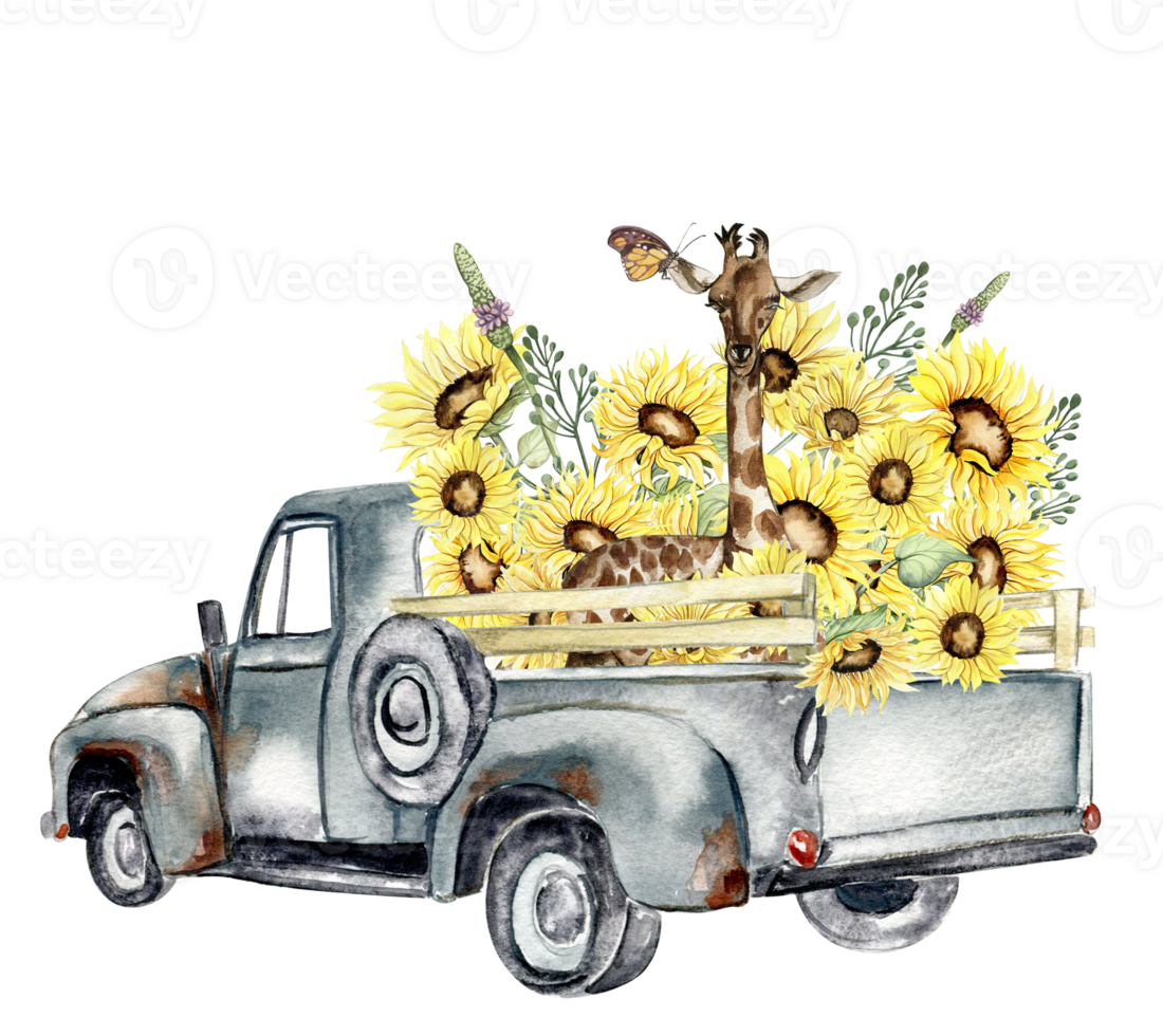 Watercolor composition with sunflowers and farm car. Butterflies in cartoon style.Hand drawn illustration of summer. Perfect for scrapbooking, kids design, wedding invitation,posters, greetings cards. png