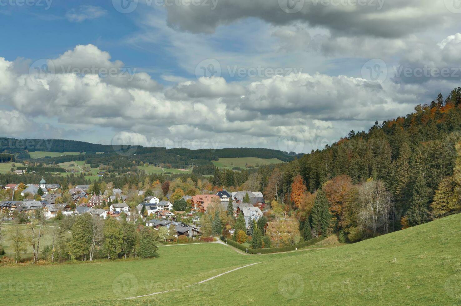 pueblo de Hinterzarten en negro Bosque,baden-wurtemberg,alemania foto