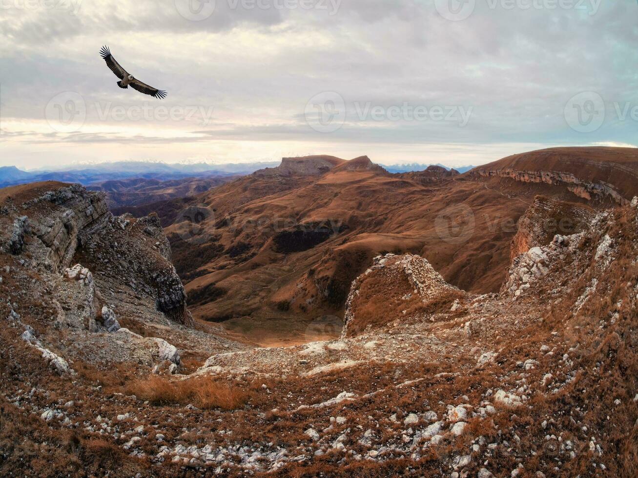 Dramatic landscape with flight lonely eagle - view of a chilly autumn valley blurred in a morning haze and steep red stone cliffs from the Bermamyt plateau in Karachay-Cherkessia on a cloudy day. photo