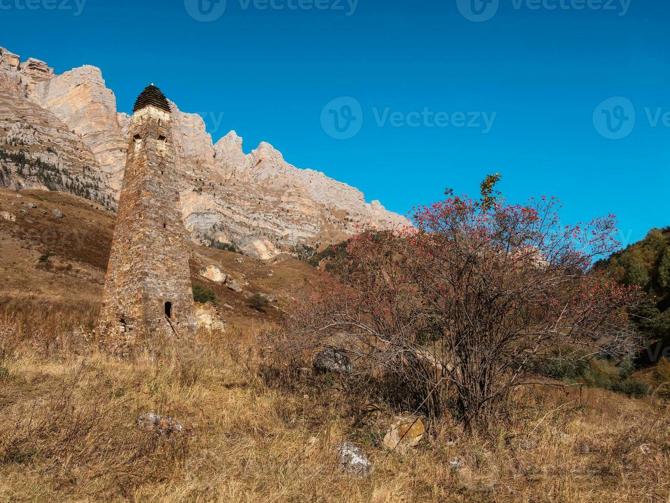 Sunny afternoon in the Caucasus mountains. Medieval tower complex Nii, one of the authentic medieval castle-type tower villages, located on the Jeyrakh district in Ingushetia, Russia. photo