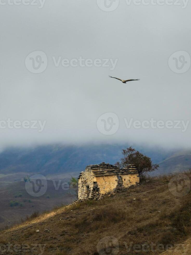 vertical ver de antiguo familia cripta en un brumoso montaña pendiente. antiguo erzi torre complejo en el jeyrah garganta, situado en el extremidad de el montaña rango en ingushetia, Rusia. foto