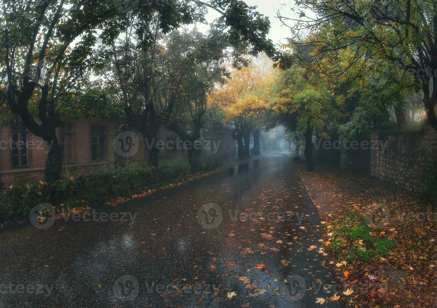 An empty country asphalt road through the trees and village in a fog on a rainy autumn day. Road trip, transportation, driving. Wet foggy autumn street in Zheleznovodsk. Russia. photo