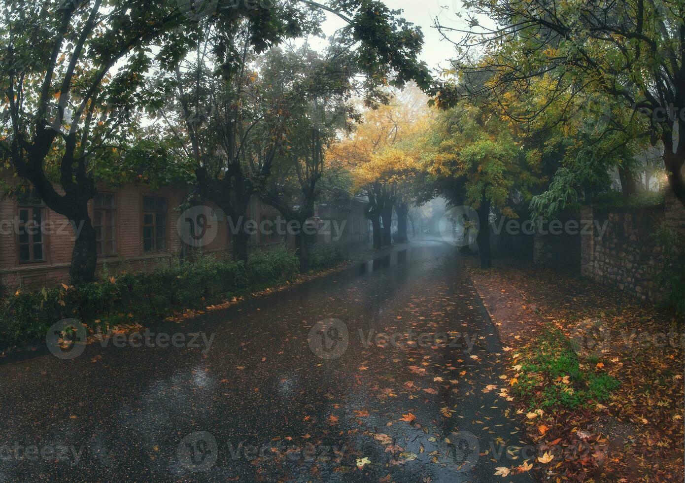 An empty country asphalt road through the trees and village in a fog on a rainy autumn day. Road trip, transportation, driving. Wet foggy autumn street in Zheleznovodsk. Russia. photo