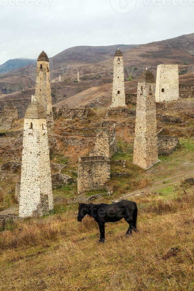 Proud black horse against the background of ancient battle towers in Ingushetia. Medieval tower complex Erzi, one of the largest medieval castle-type tower villages. photo