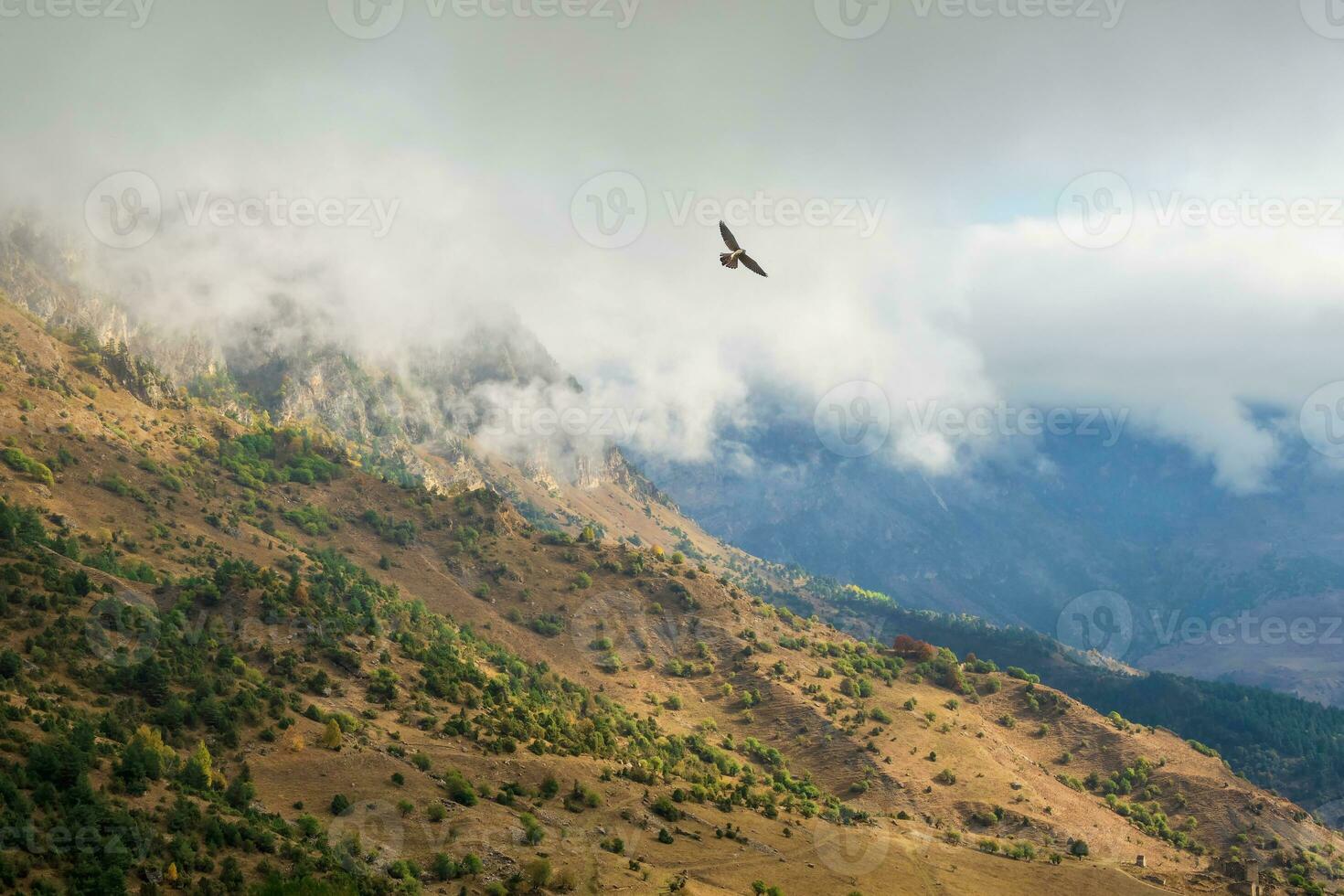 Hawk over the mountain. Mountain pass in Ingushetia. Wonderful  scenery with rocs and mountains in dense low clouds. Atmospheric highlands landscape with mountain tops under clouds photo