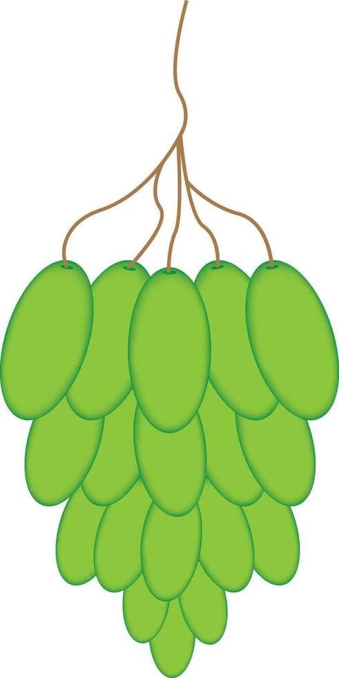 grapes design  - Grapes vector