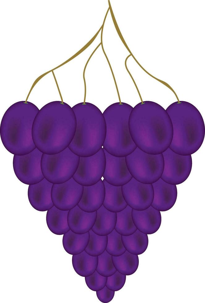 negro uvas diseño vector