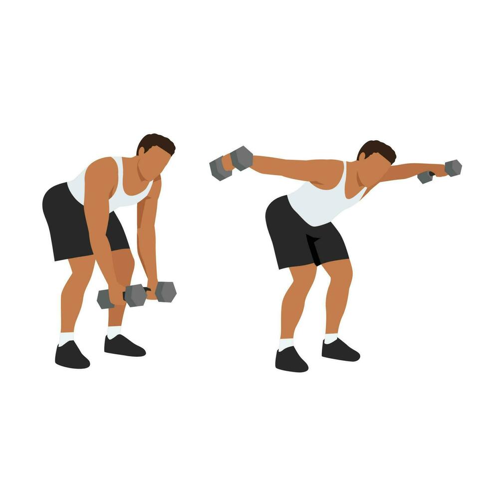 Man doing Dumbbell bent over reverse flyes. vector