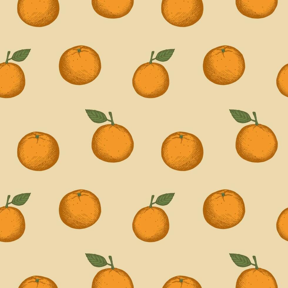 modelo con mandarinas sin costura repitiendo modelo con clementinas, agrios planta. mano dibujado en Clásico estilo. de colores antecedentes con repetición, Fruta motivo. diseño elemento. vector ilustración