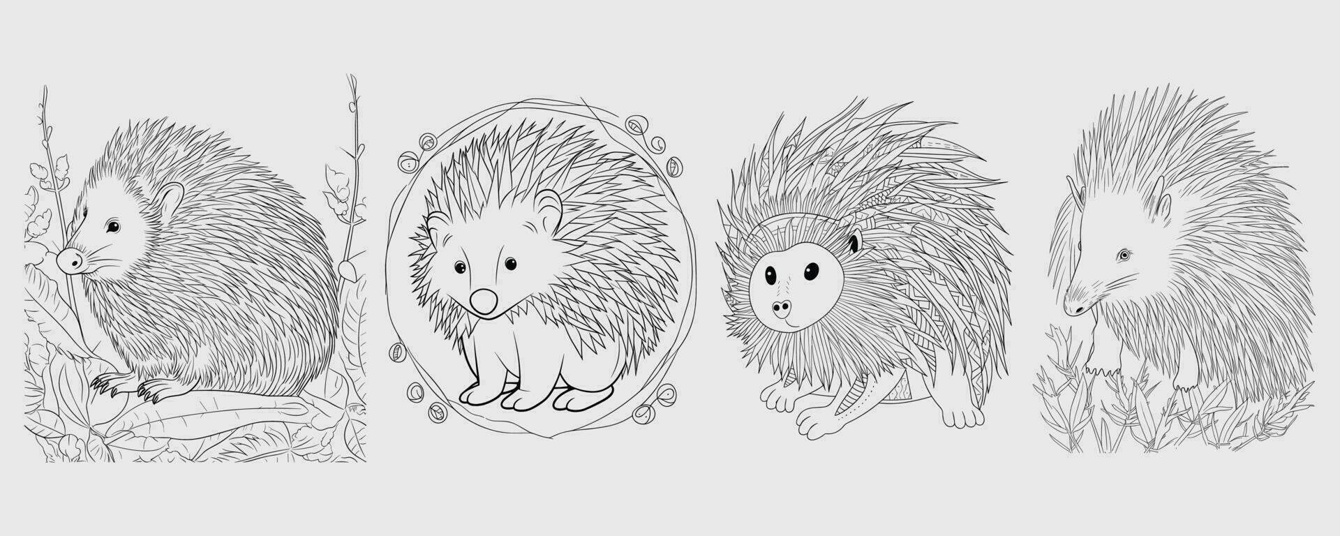 A drawing of a hedgehog and a hedgehog vector