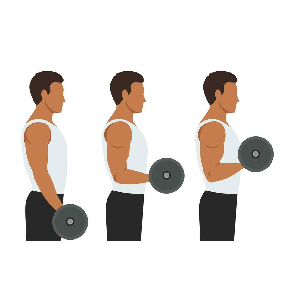 Man doing Barbell drag bicep curls exercise. 21 bicep exercise. 7 Steps side view.Arm workout. Flat vector illustration of a fitness man