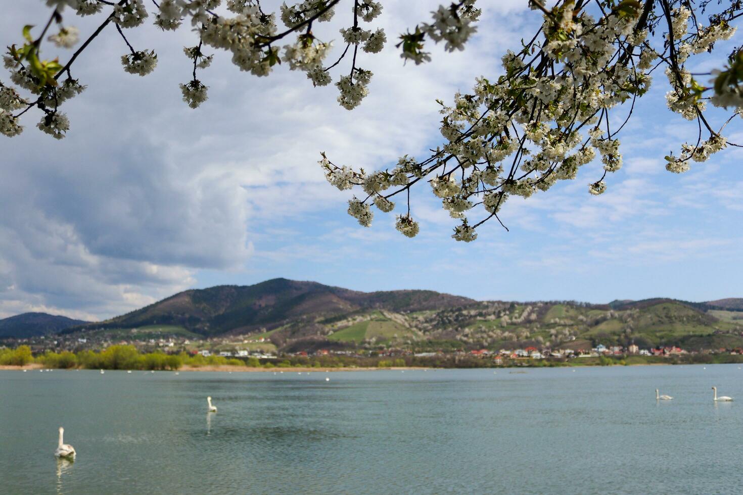 Panoramas at the Batca Doamnei lake in Piatra Neamt photo