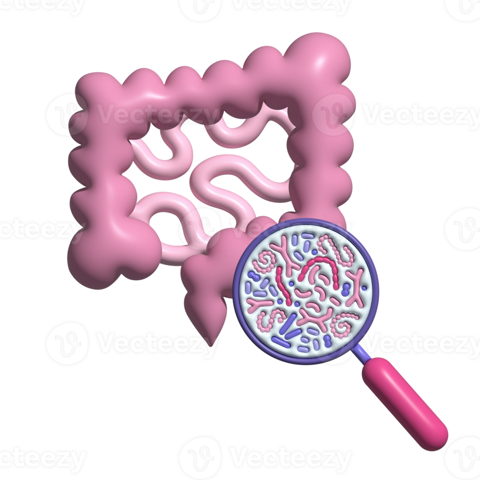 3d render Abstract human intestine and magnifier. Gut microbiome concept. SIBO, leaky gut syndrome and candida growth. Volume illustration isolated. png