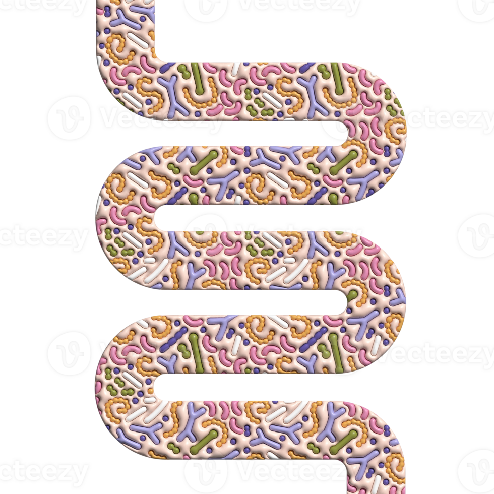 3d framställa probiotika i form av tarmar med microbiome mönster. bifidobacterium, laktobacillus, streptokock thermophilus, laktokocker, propionibacterium. volym illustration för baner, affisch png