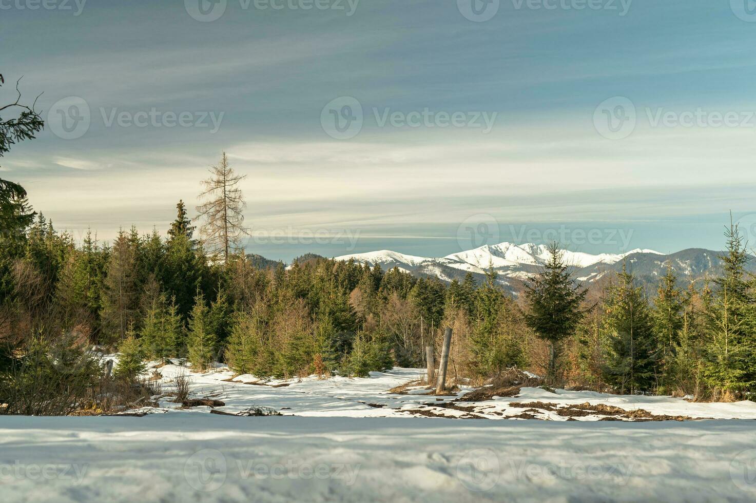 montaña, árbol, nieve primavera foto desde Eslovaquia, liptov 10.04.2023