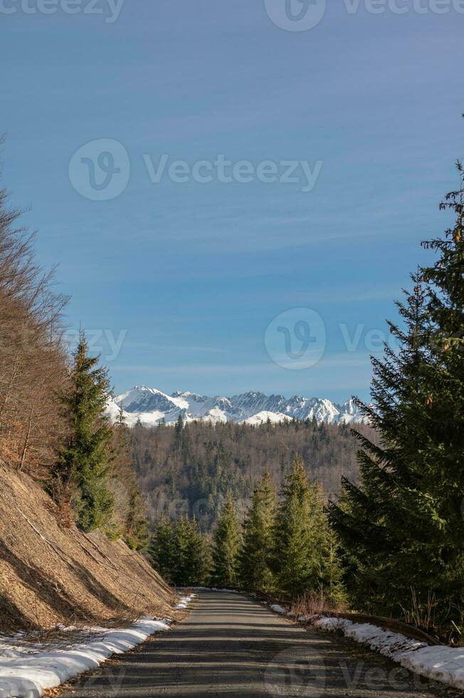 montaña, árbol, nieve primavera foto desde Eslovaquia, liptov 10.04.2023