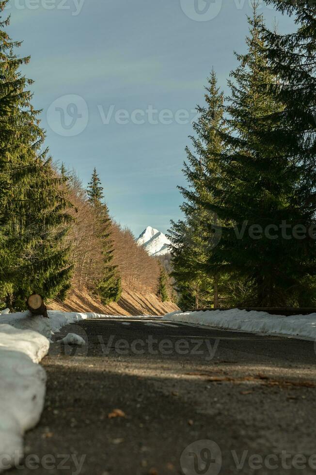 montaña, árbol, nieve primavera foto desde Eslovaquia, liptov 10.04.2023