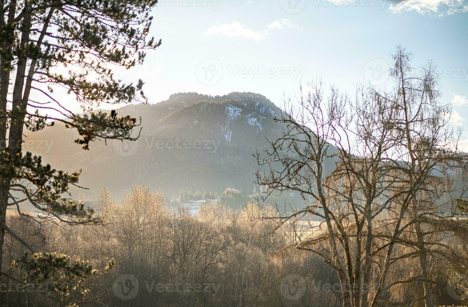 spring photo from Liptov, Slovakia 15.04.2023