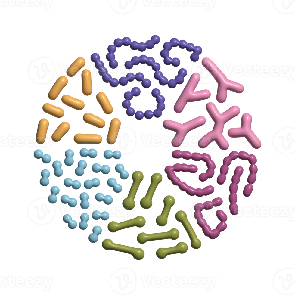 3d render probiótico bactérias tipos conjunto dentro círculo forma. Boa microbiota com saudável prebiótico bacilo. lactobacilo, estreptococo, bifidobactérias e de outros microorganismos. volume simples elementos png
