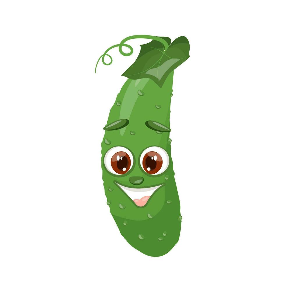 Vector isolated cartoon fresh hand drawn cucumber.Cute vector illustration isolated on transparent background.