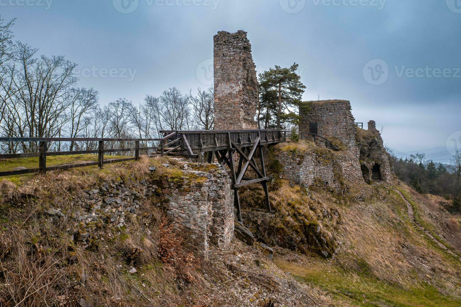 Stone ruins of a castle Zubstejn, Czech republic photo