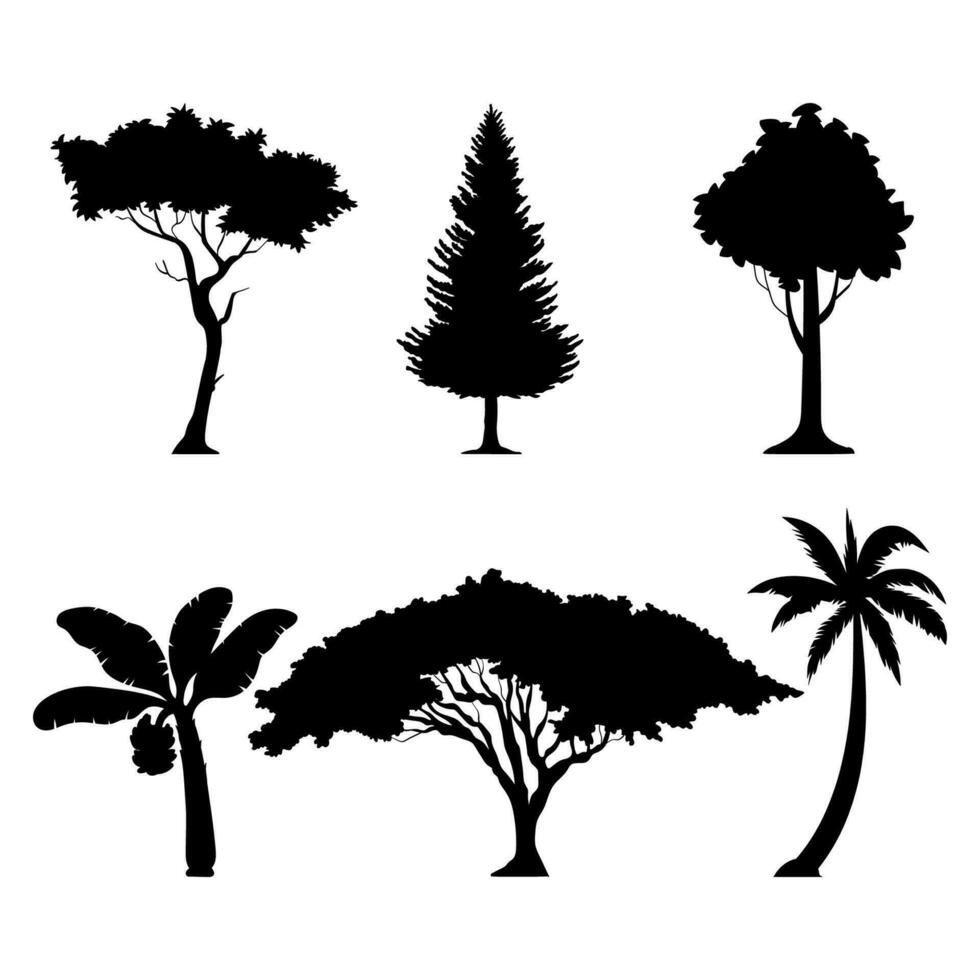 tropical tree silhouette illustration vector