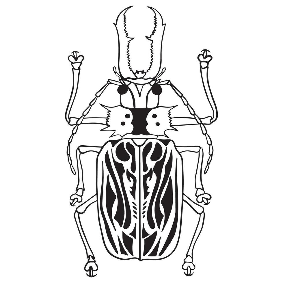 escarabajo insecto contorno Arte ,bien para gráfico diseño recursos, carteles, pancartas, plantillas, huellas dactilares, colorante libros y más. vector