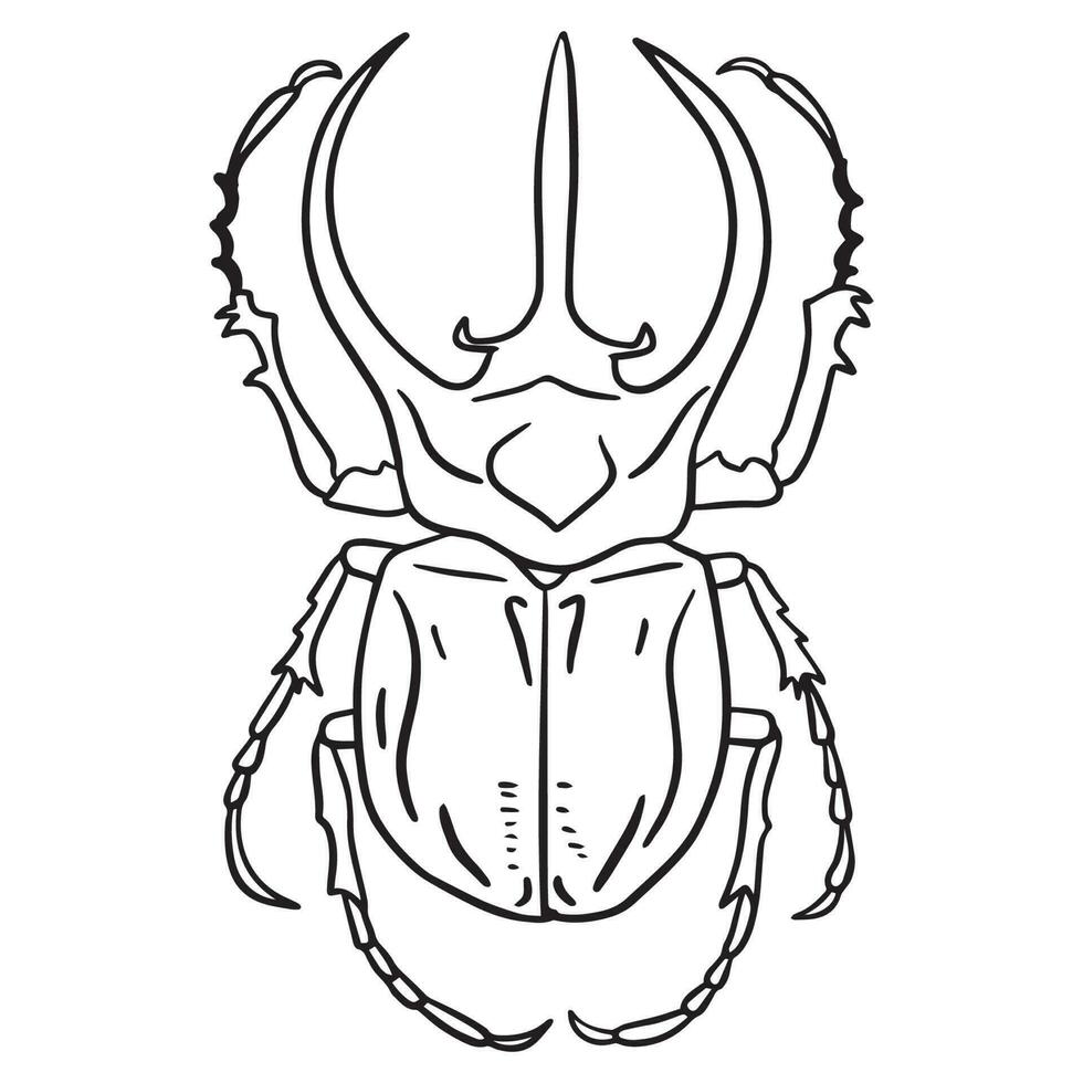 Beetle insect outline art ,good for graphic design resources, posters, banners, templates, prints, coloring books and more. vector