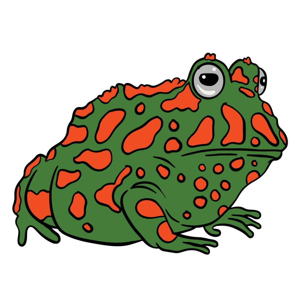 verde ranas con rojo modelo ,bien para gráfico diseño recursos, carteles, pancartas, plantillas, huellas dactilares, colorante libros y más. vector