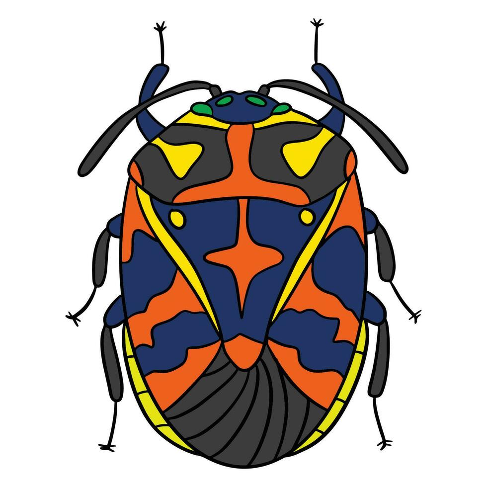 Beauiful beetle colorful wings ,good for graphic design resources, posters, banners, templates, prints, coloring books and more. vector