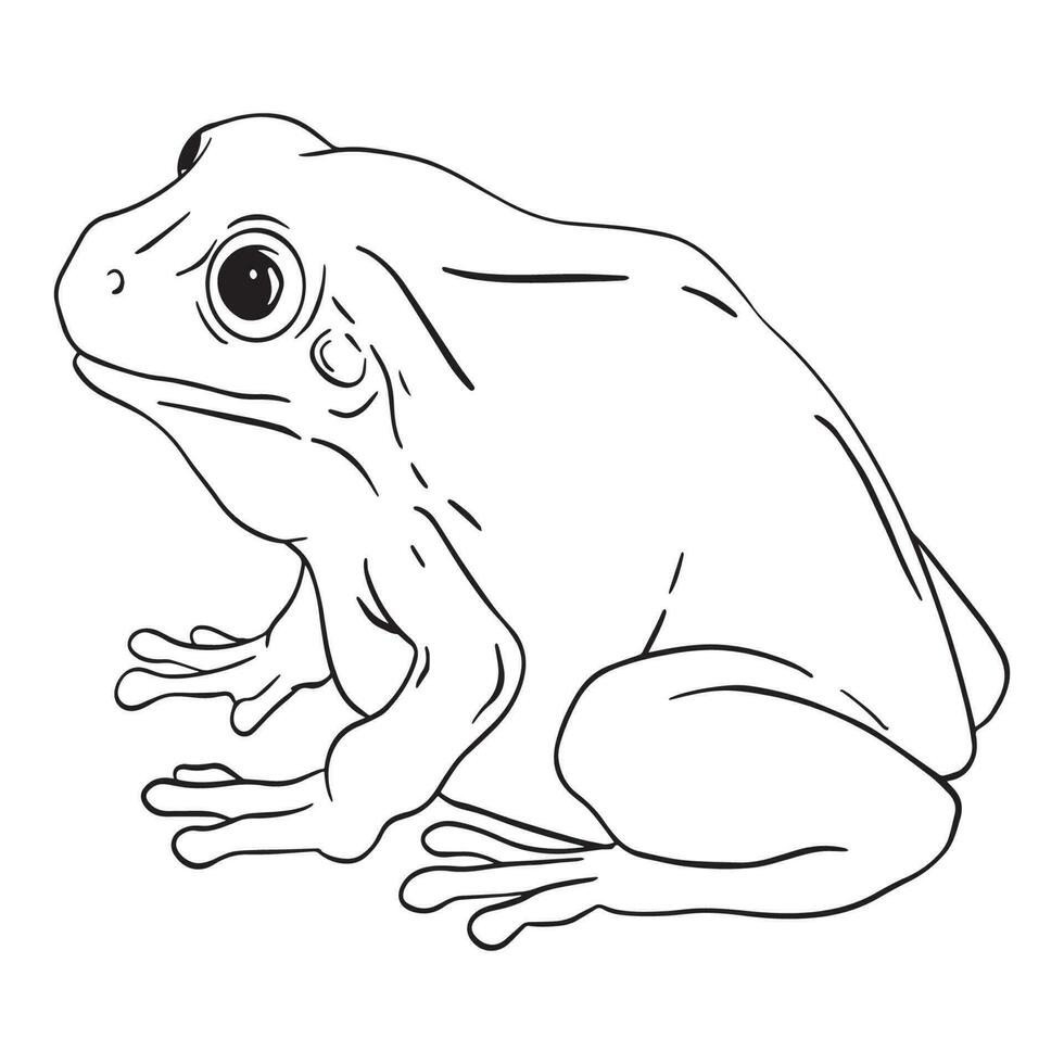 Frog outline art ,good for graphic design resources, posters, banners, templates, prints, coloring books and more. vector