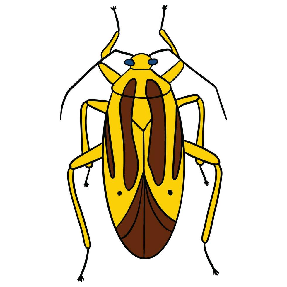 unique yellow brown beetle ,good for graphic design resources, posters, banners, templates, prints, coloring books and more. vector