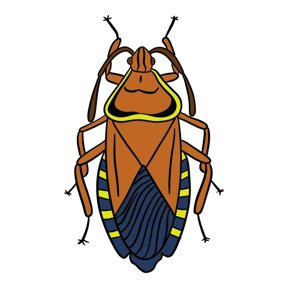 unique yellow brown beetle ,good for graphic design resources, posters, banners, templates, prints, coloring books and more. vector