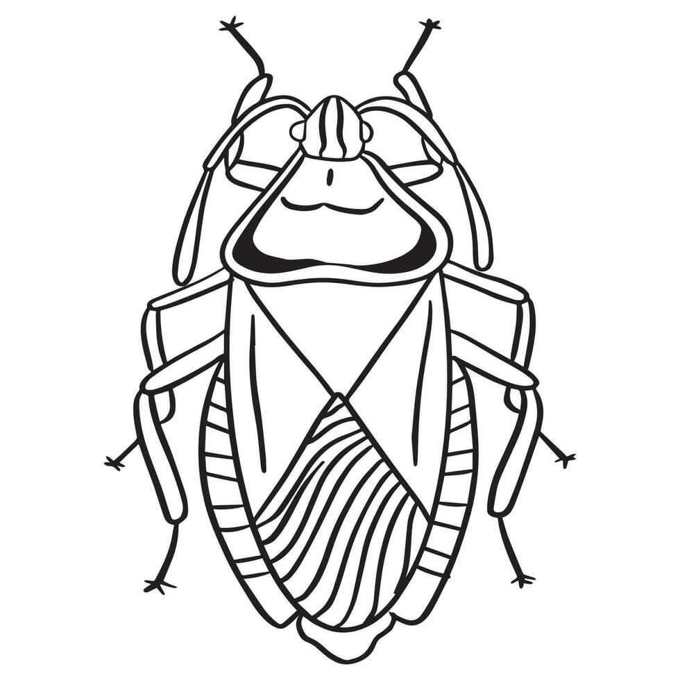 Beetle insect outline art ,good for graphic design resources, posters, banners, templates, prints, coloring books and more. vector