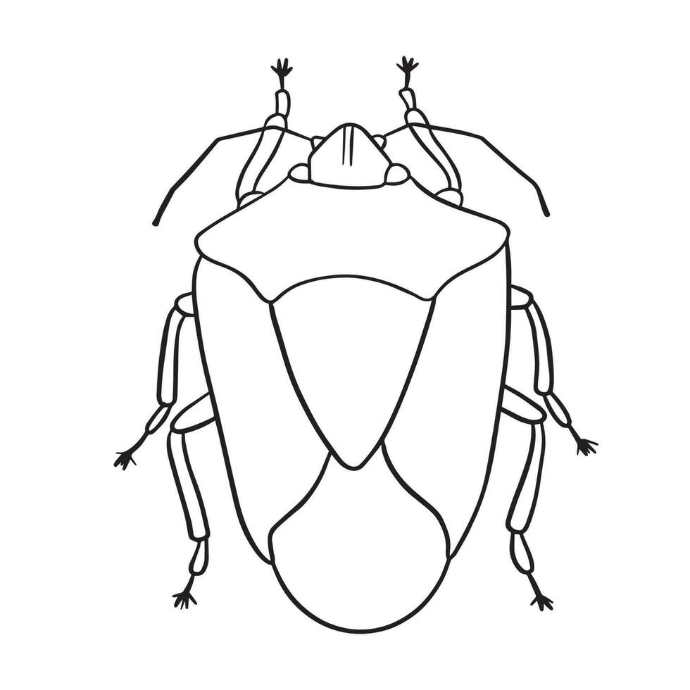 Beetle insect outline art ,good for graphic design resources, posters, banners, templates, prints, coloring books and more. vector
