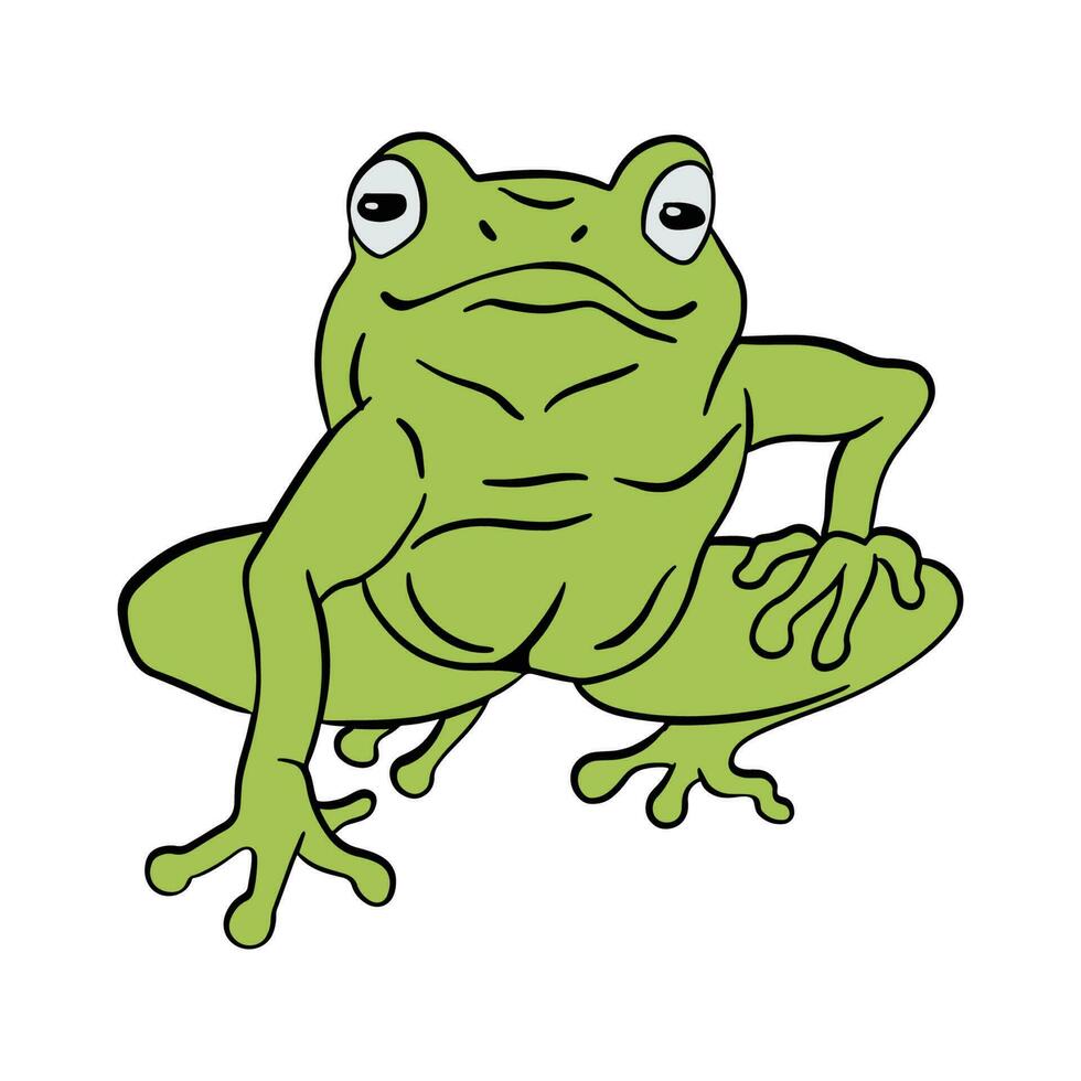 Cute Green frog sitting ,good for graphic design resources, posters, banners, templates, prints, coloring books and more. vector