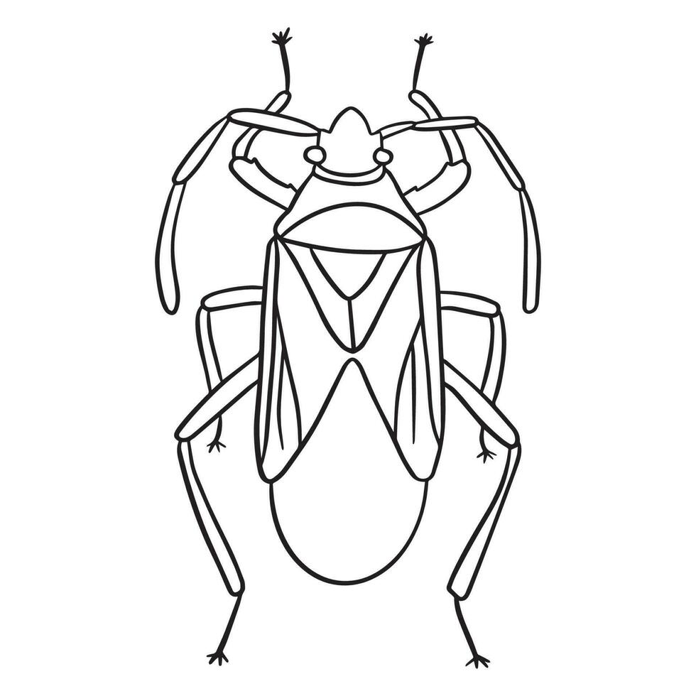 Beetle insect outline art ,good for graphic design resources, posters, banners, templates, prints, coloring books and more. vector