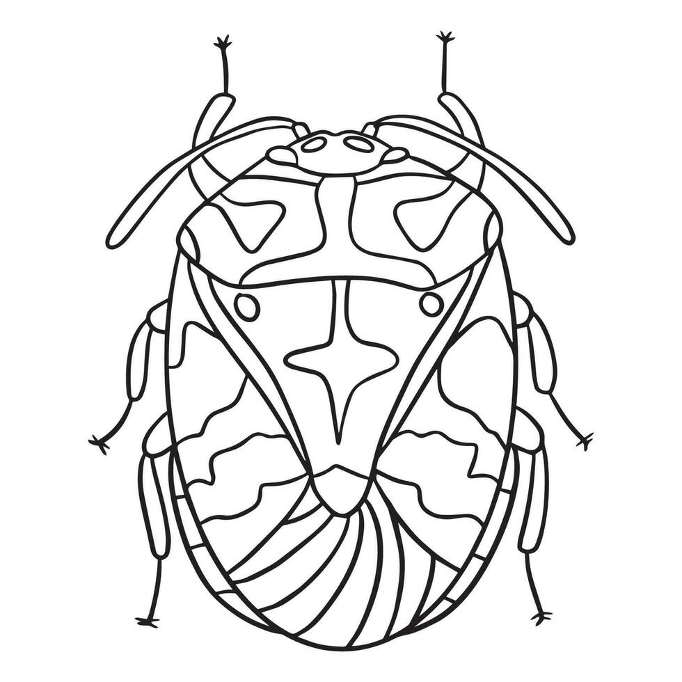 Beetle insect outline art ,good for graphic design resources, posters, banners, templates, prints, coloring books and more. vector