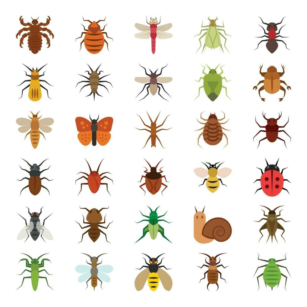 plano color íconos para insectos vector