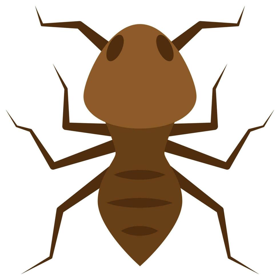 Flat color icon for termite. vector