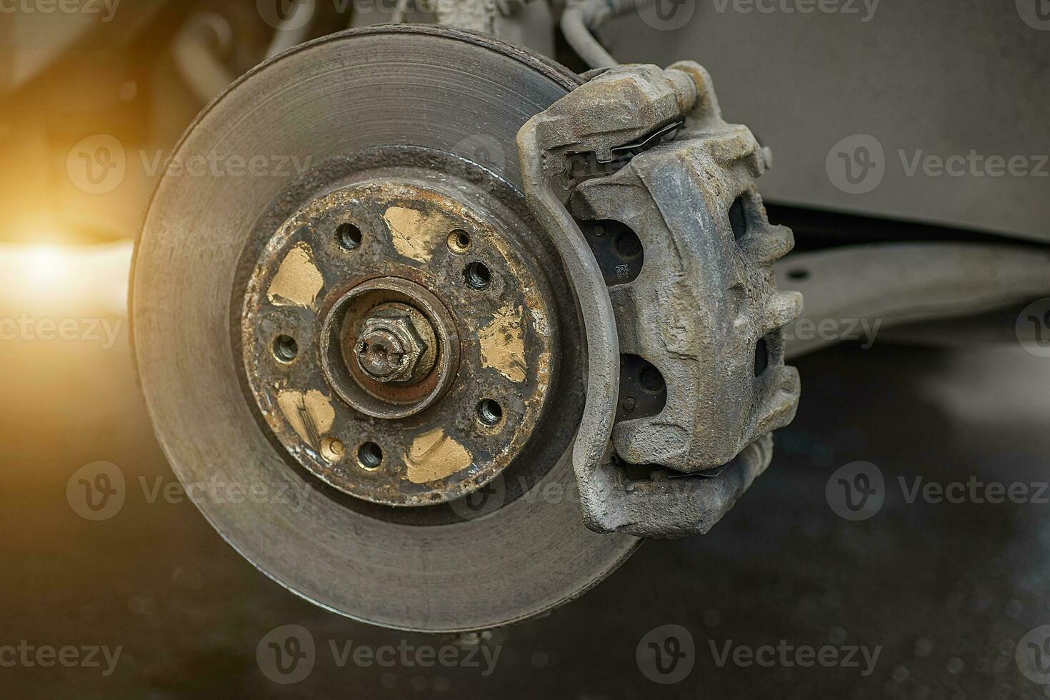 brake disc, caliper, pad hoses, and levers of the front let down the car photo