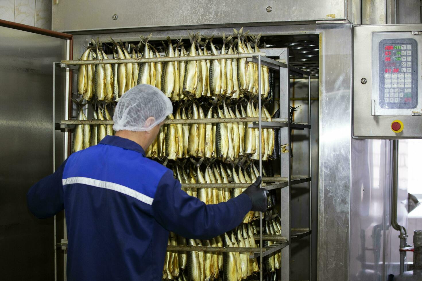 September 18, 2020. Belarus, Gamil. Fish factory.A worker pushes a smoked fish cart into an industrial oven. photo