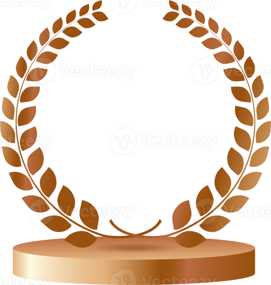 Bronze medals vip card with crown laurel wreath.membership card icon png