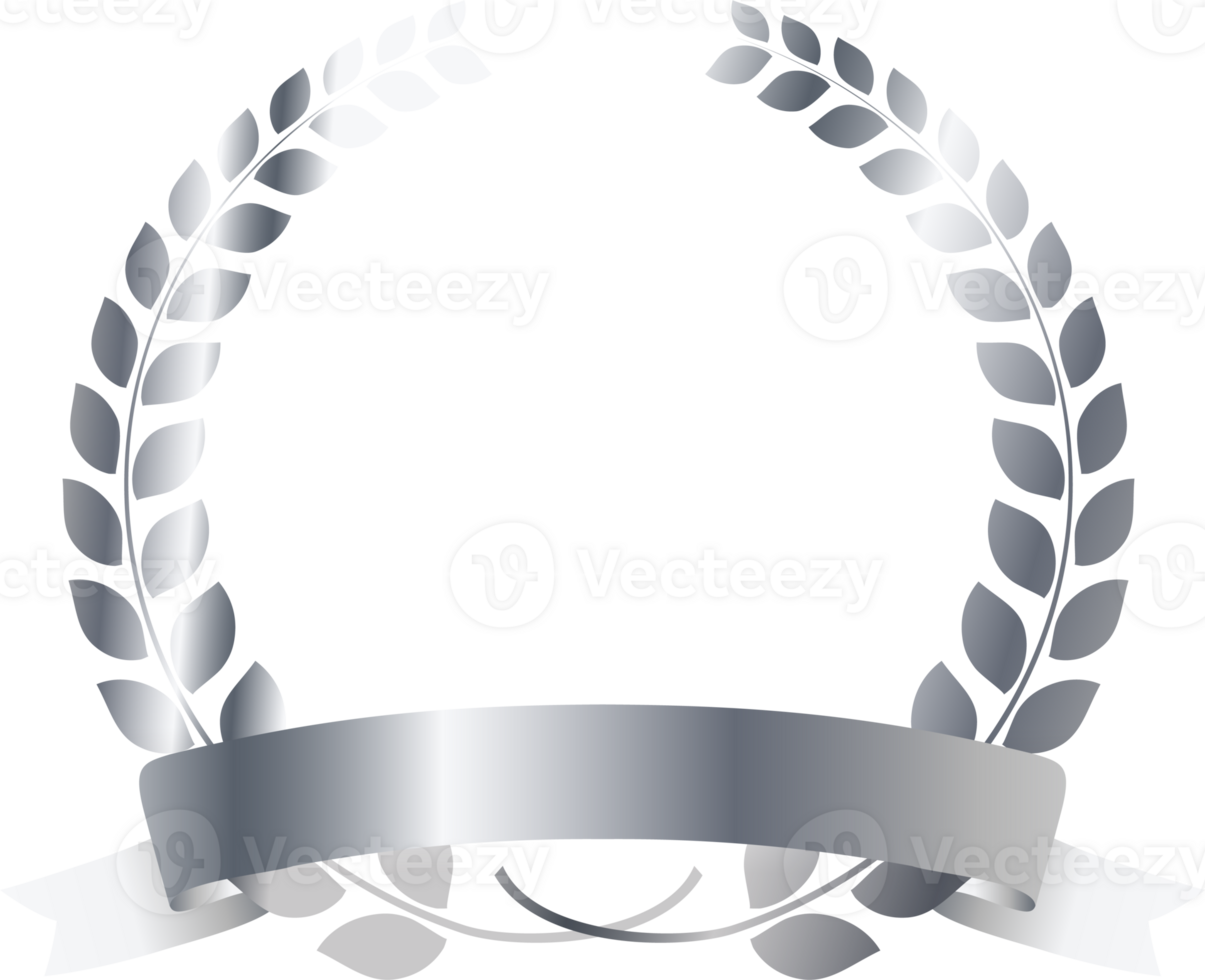 Silver medals vip card with crown laurel wreath.membership card icon png