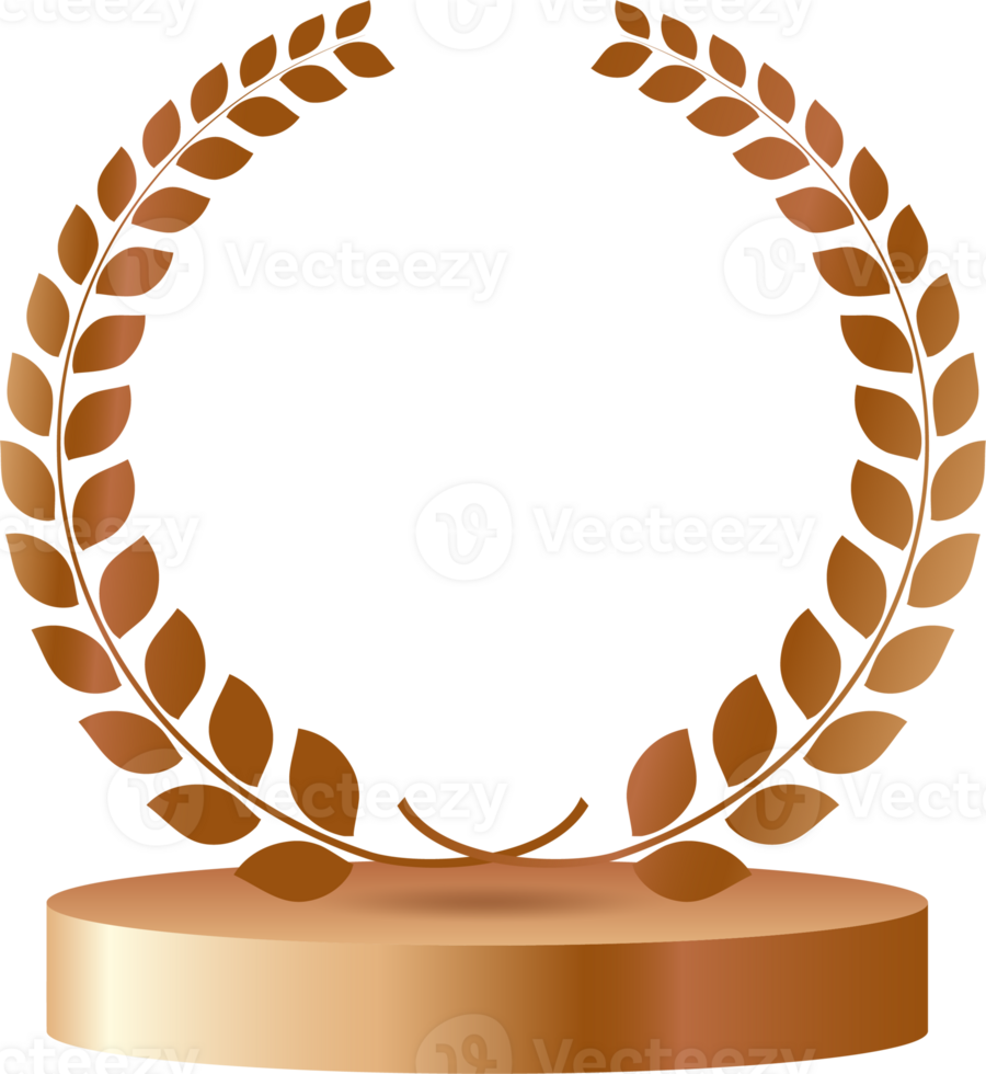 Bronze medals vip card with crown laurel wreath.membership card icon png
