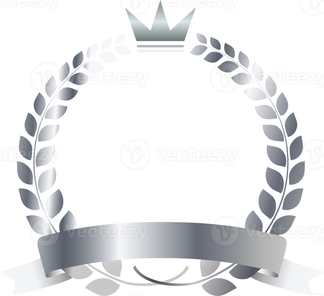 Silver medals vip card with crown laurel wreath.membership card icon png