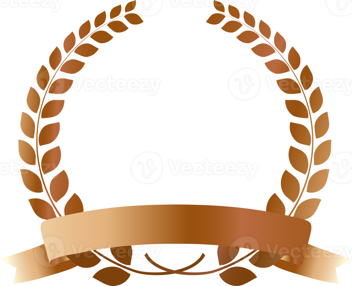 Bronze medals vip card with crown laurel wreath.membership card icon png