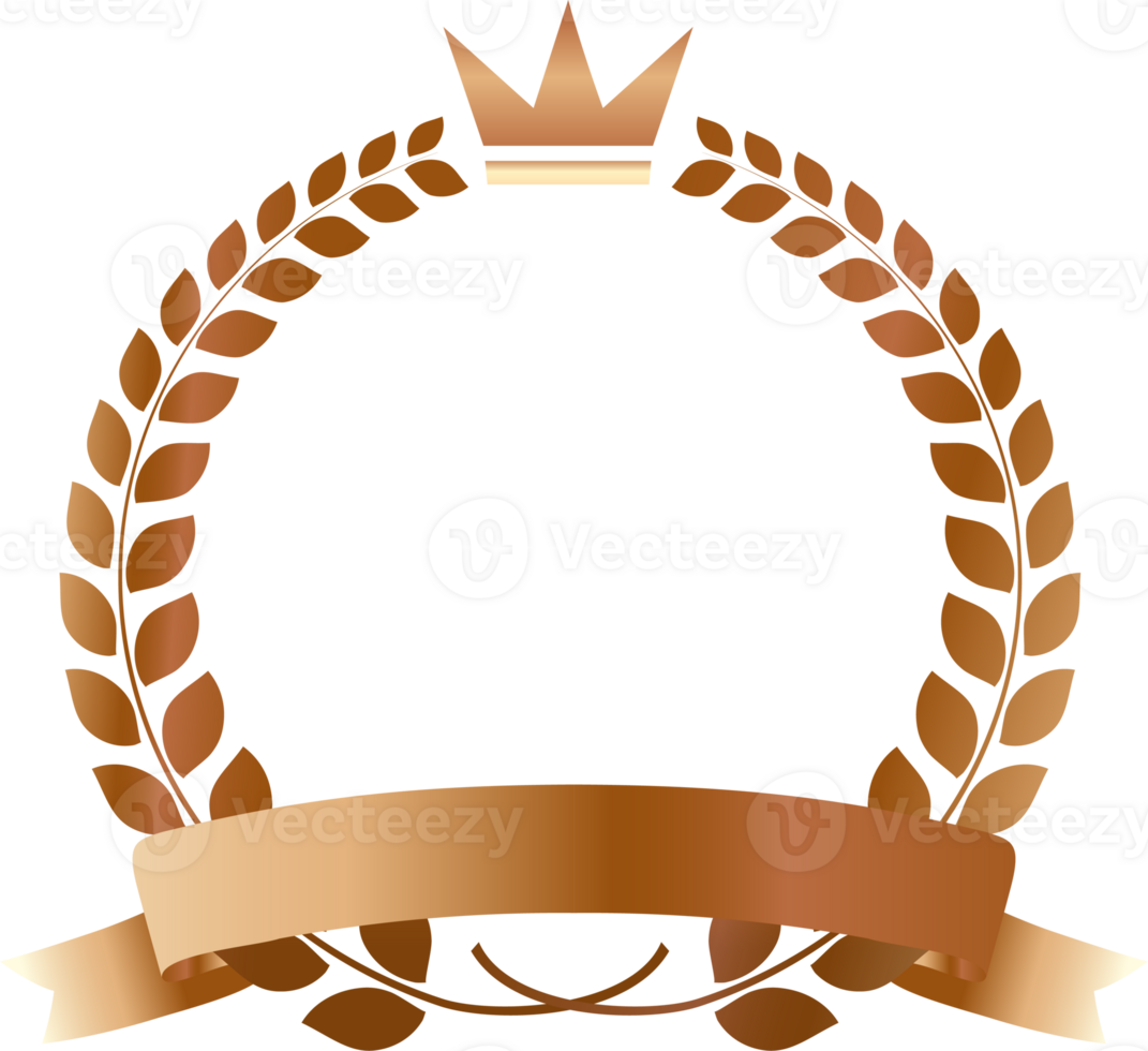 Bronze medals vip card with crown laurel wreath.membership card icon png